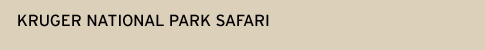 Kruger National Park Safari