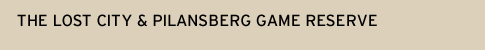The Lost City & Pilansberg Game Reserve