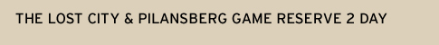 The Lost City & Pilansberg Game Reserve